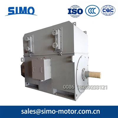 6kv -900 KW-High-Voltage Motor